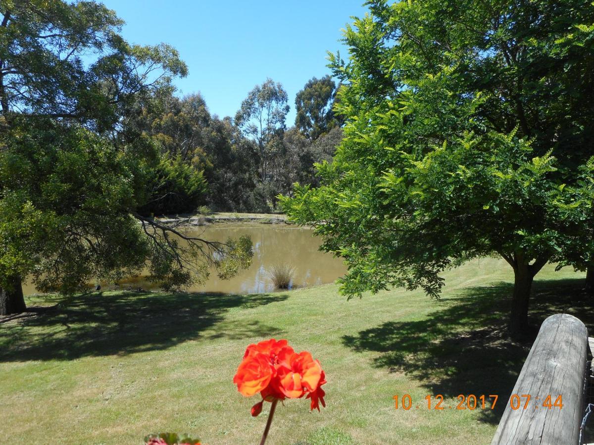 Wurrung B & B - The Cottage Woodend Esterno foto