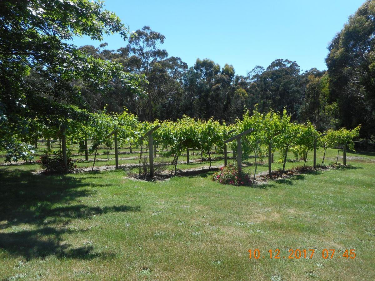 Wurrung B & B - The Cottage Woodend Esterno foto