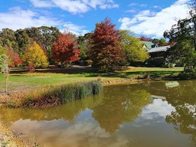 Wurrung B & B - The Cottage Woodend Esterno foto